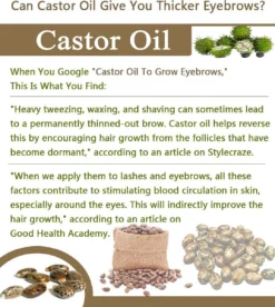 Your Beauty Tree ® Wimper Serum Met Echte Castor Olie |100% Natuurlijke Wimpergroei| Castor Oil Eyelash Serum|Wonder Olie | Wimper Groei | Wenkbrauw Serum | Lash Serum | Wimper Groeimiddel -Cosmeticawinkel 1075x1200 4