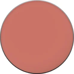 L'Oréal Paris True Match Blush - 145 Bois De Rose 39 L'Oréal Paris True Match Blush - 145 Bois De Rose -Cosmeticawinkel 1200x1200 232