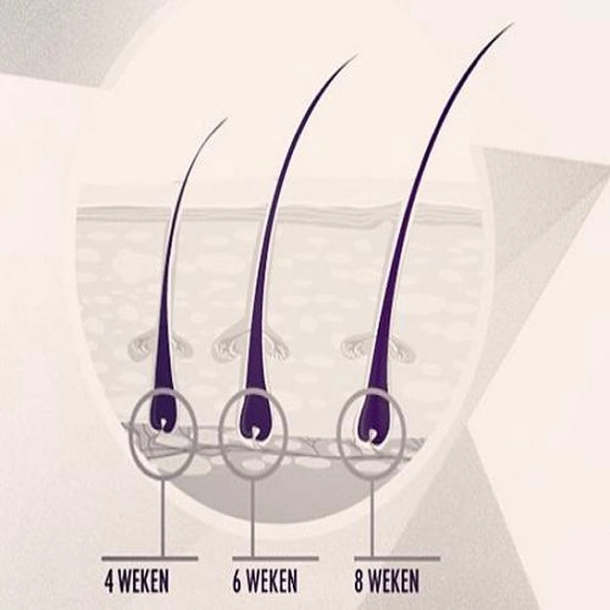 Rock&Rose Lash Serum - Wimper Serum - Inclusief Gratis Mascara 5 Rock&Rose Lash Serum - Wimper Serum - Inclusief Gratis Mascara - Afbeelding 5