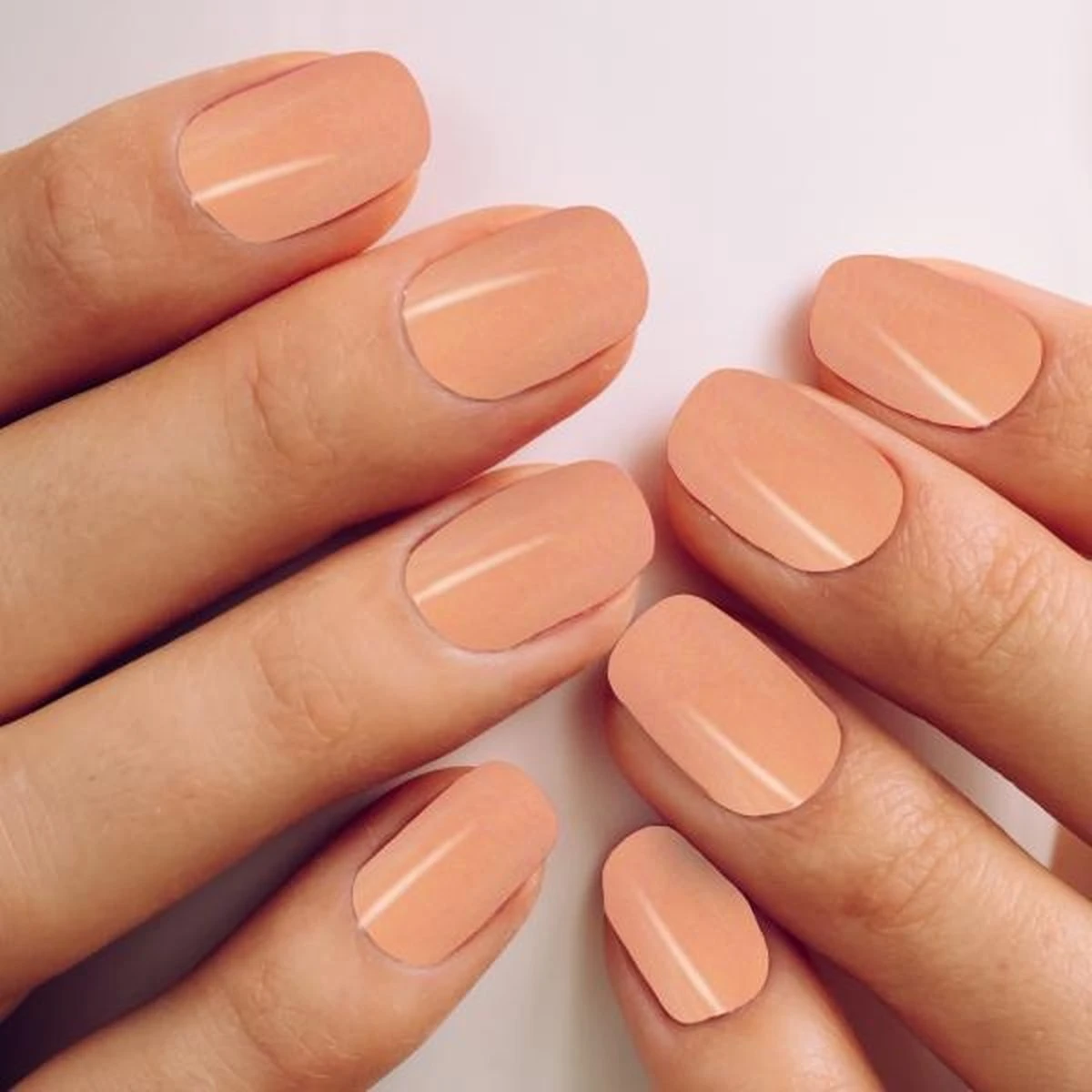 Merkloos #PRETTYPINKSERIE - Influence Gellac - Roze Gellak - Gellak Roze UV - UV Gellak - Gel Nagellak - Basecoat - Topcoat - Topcoatmat - No Wipe - Startersset - Kado Vrouw - Valentijns Cadeau - Kado Voor Haar - 4 X 10 Ml 2 Merkloos #PRETTYPINKSERIE - Influence Gellac - Roze Gellak - Gellak Roze UV - UV Gellak - Gel Nagellak - Basecoat - Topcoat - Topcoatmat - No Wipe - Startersset - Kado Vrouw - Valentijns Cadeau - Kado Voor Haar - 4 X 10 Ml - Afbeelding 2