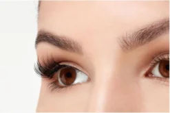 Ardell Professional Magnetic Double Strip Accents Lashes - 001 Accents - Magnetische Nepwimpers - Set Kunstwimpers - Zwart -Cosmeticawinkel 1200x803 2