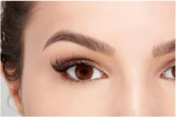 Ardell Professional Magnetic Double Strip Accents Lashes - 001 Accents - Magnetische Nepwimpers - Set Kunstwimpers - Zwart -Cosmeticawinkel 1200x804