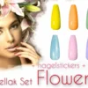 Braembles® - Gellak - Set - Flowers + Gratis -Nagelstickers- + -Nagelvijl- 6-delige - Gellak Starterspakket - Gel Nagellak - Pink Gellac - Gellac - Nagels - 10ML - UV-LEDlamp - Kerstcadeau - Kerst -